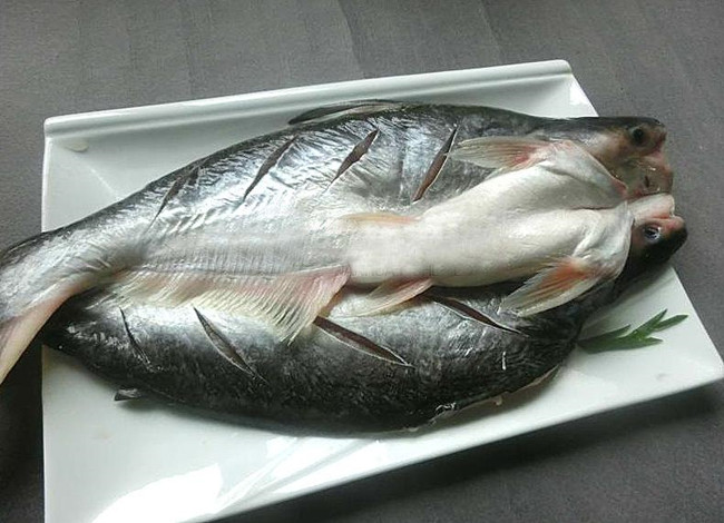 馬來西亞冷凍黑虎蝦進口報關 馬來西亞冷凍黑虎蝦進口報關