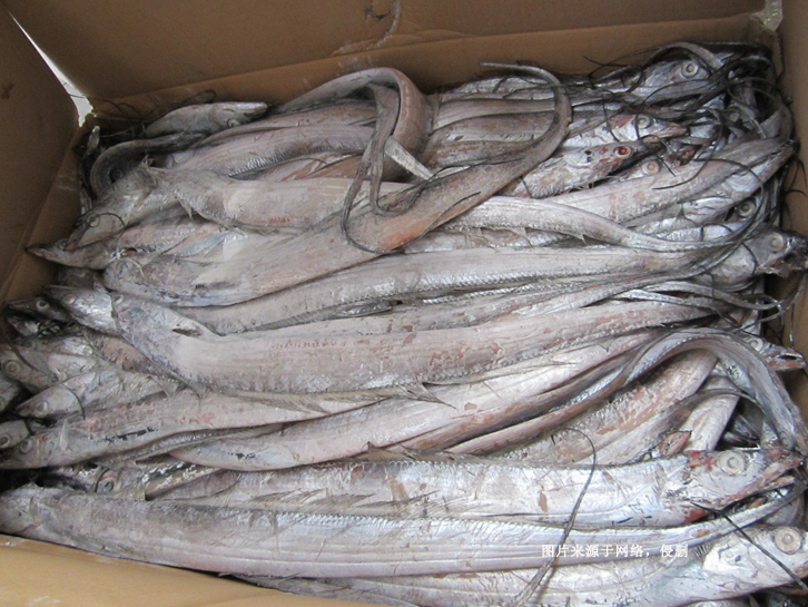 青島進口冷凍帶魚報關(guān)資料 青島進口冷凍帶魚報關(guān)資料