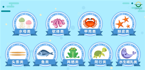 1572311861173281.png 冷凍水產(chǎn)品進口報關(guān)