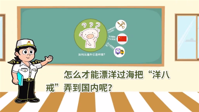 1585790865671345.png 冷凍豬肉進口報關