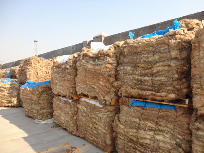 1596679332137902.png 鹽濕皮進口報關