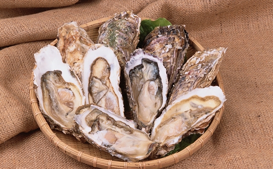 1599702619712903.jpg VCG4157485652_副本.jpg