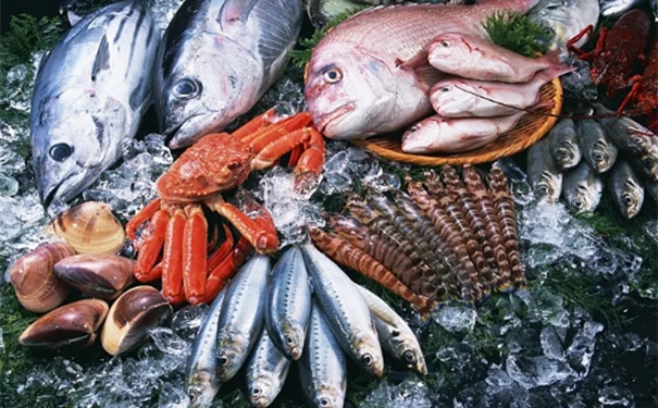 進口水產品報關監管條件以及申報要素 進口水產品報關