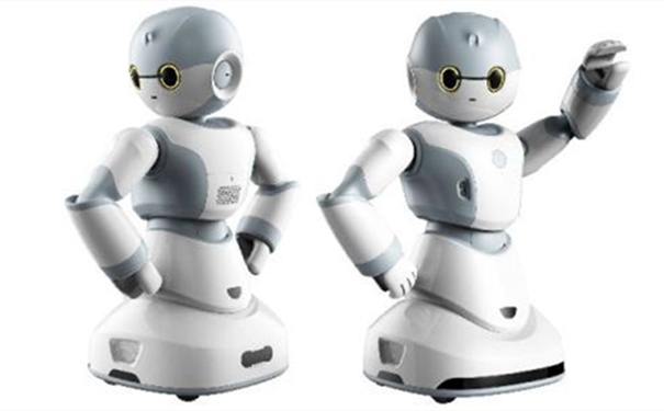 機(jī)器人進(jìn)口報關(guān)代理公司