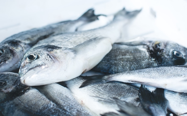 冷凍魚進口報關(guān)注意事項有這些,參考一下 冷凍魚進口報關(guān)