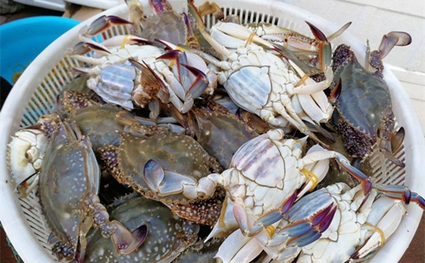 冷凍梭子蟹進口報關(guān) 冷凍梭子蟹進口報關(guān)的流程手續(xù)復(fù)雜嗎?