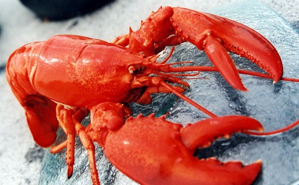 進口冷凍龍蝦清關(guān)是如何操作的,操作流程看這里 進口冷凍龍蝦清關(guān)