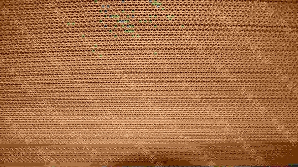 1628162611897122.jpg 瓦楞紙進口報關(guān)代理_副本.jpg