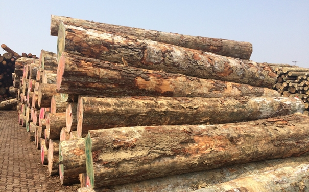 1628675467644666.jpg 原木進口清關上海代理公司g