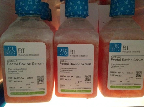 1629780068975448.jpg 生物制品進口清關代理_副本.jpg