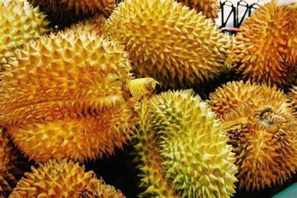 1646817456798811.jpg 機場進口泰國榴蓮報關_副本.jpg