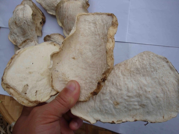 1648810281147526.jpg 進口魔芋干片報關報檢_副本.jpg