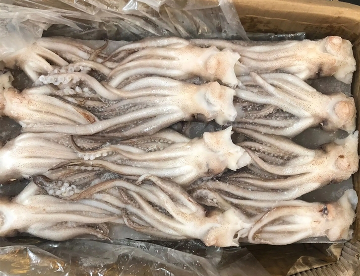 1651143653237839.jpg 冷凍魷魚進口報關_副本.jpg