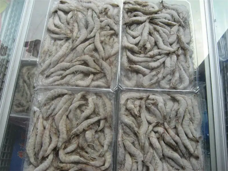 1655116084227601.png 天津冷凍產品進口報關公司.png