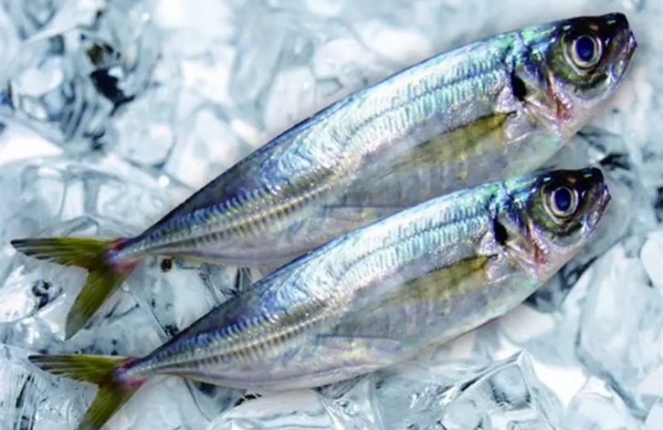 1655116797711603.jpg 廈門港冷凍海鮮報關(guān)_副本.jpg