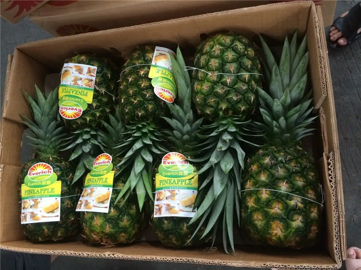 鮮菠蘿進(jìn)口清關(guān)代理 鮮菠蘿進(jìn)口清關(guān)代理