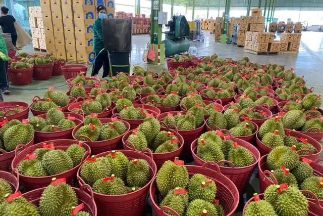 1659087239897213.png 進(jìn)口越南榴蓮報(bào)關(guān)代理.png